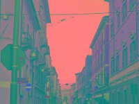 IMGP2654 edited (Medium)